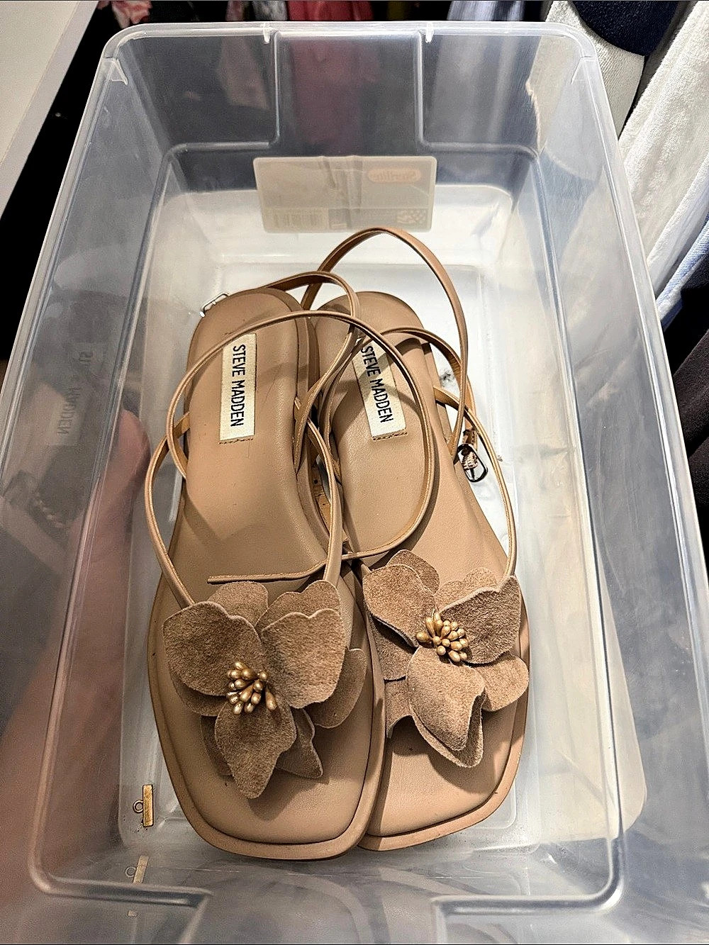 Steve Madden Floral Flat Sandals in Brown